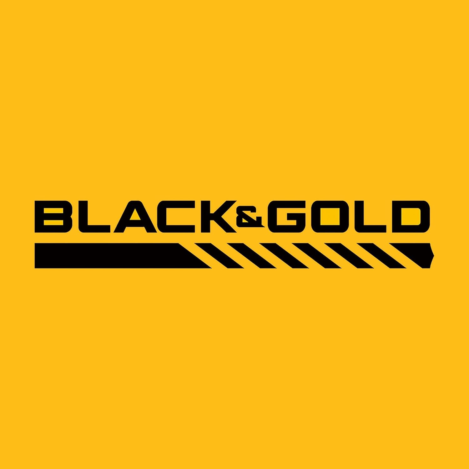 image:imageDEWALT Drill Bit Set 21 Pc High Speed Steel DEWALT Bits Black and Gold Oxide Coated 135 Degree Split Point 31 Degree Helix DWA1181One Size Pack of 5