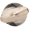 DEWALT DW5446 Hammer Bit, Silver