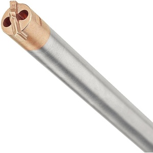 DEWALT Drill Bit, SDS Plus, Hollow, 1/2-Inch (DWA54012)