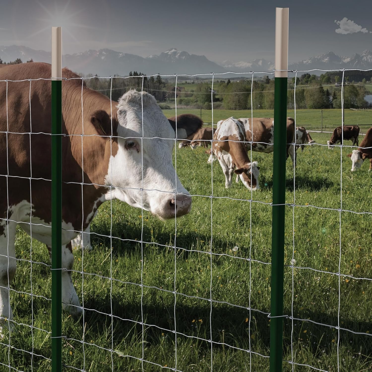 image:imageDeWALT Field Fence 47 in x 330 ft 11Gauge Galvanized Steel for Livestock Enclosures Pasture Fencing Farm and Property Protection47 in
