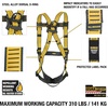 DEWALT 5-Point Fall Protection Harness(Leg Buckles)