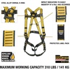 DEWALT 5-Point Fall Protection Harness(Tongue Buckle Legs)