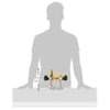 DEWALT Plunge Base For Compact Router, Steel Rods for Smooth Plunge Stroke (DNP612)(Plunge Base)
