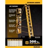 DeWalt Type IA 300lb Rated FG Extension w/ProTop 20′ DXL3020-20PT