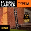 DeWalt Type IA 300lb Rated FG Extension w/ProTop 20′ DXL3020-20PT