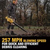 DEWALT Shop Vacuum Wet and Dry 9 Gallon 5 HP with Detachable Blower | Full Accessory Kit & Storage Bag, ideal for Garage Workshop Lawn Yard Patio & Outdoor Leaves Cleaning, DXV209PC(12 Gallon + 6 Dust Bags)