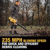 DEWALT Shop Vacuum Wet and Dry 9 Gallon 5 HP with Detachable Blower | Full Accessory Kit & Storage Bag, ideal for Garage Workshop Lawn Yard Patio & Outdoor Leaves Cleaning, DXV209PC(9 Gallon + 6 Dust Bags)